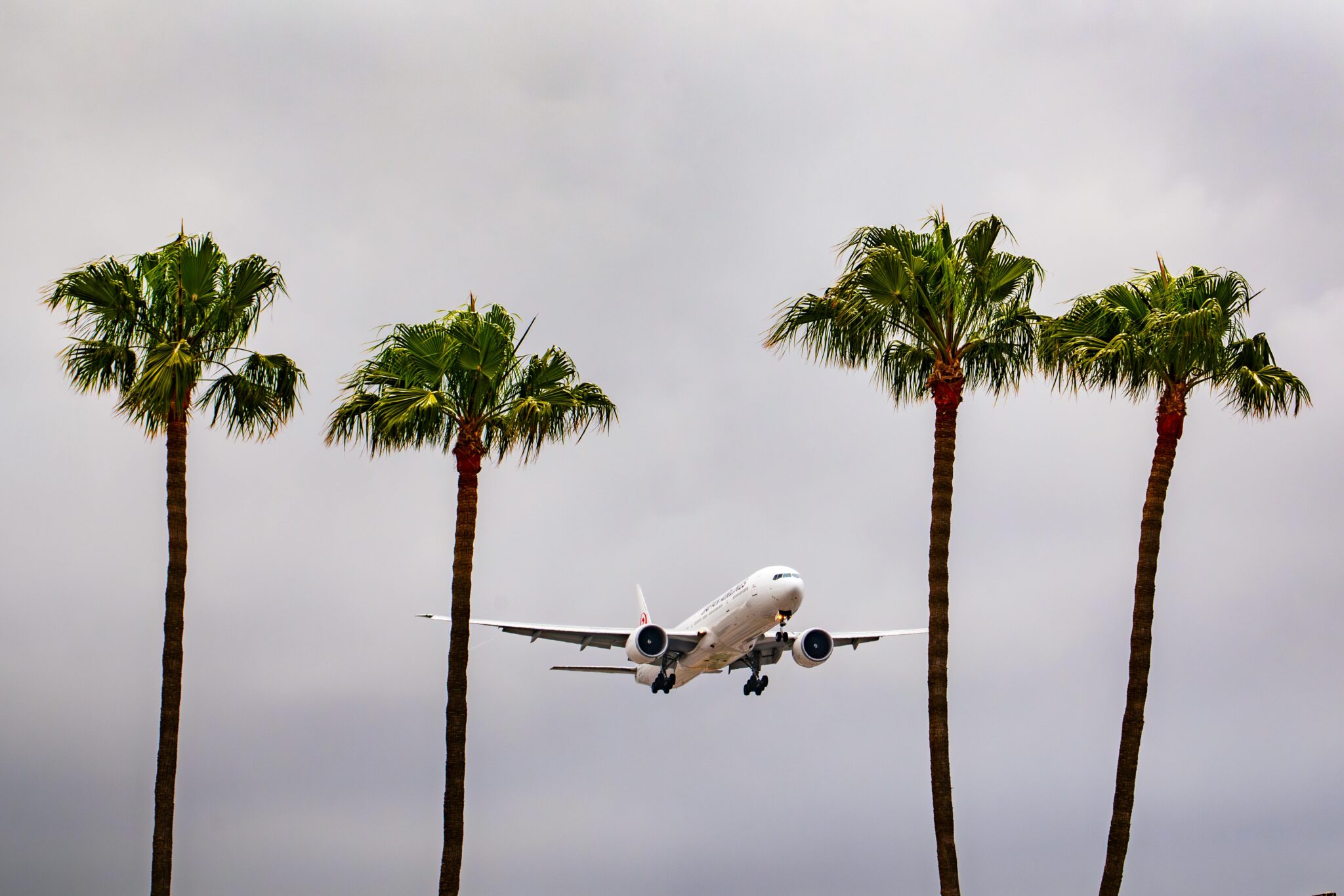 Lax